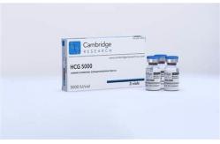 China HCG Injections Labels Hcg 5000iu HCG Peptides Human Chorionic Gonadotropin supplier