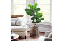 China Bathroom Decorative Artificial Potted Floor Plants Fiddle Leaf Fig supplier