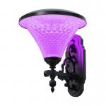 Smart Solar Pathway Light