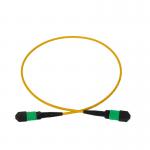 12F MPO Patch Cord 3mm LSZH Out Jacket PVC OFNR Outdoor For Network for sale