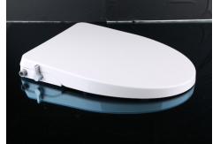 China Royalstar Cold Water Wash Custom Logo Bidet Non Electric Bidet supplier