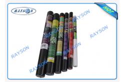 China 3%UV Garden Weed Control Fabric , Polypropylene Agriculture Non Woven Cover supplier