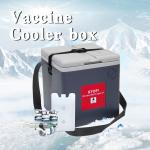 1.5L 1.7L Vaccine Cooler Box Ice Chest Cooler Box With Removable Lid for sale