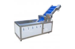 China Customized Citrus Fruit And Vegetable Processing Line Impurities Treatment Sewage Disposal supplier