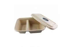 China Biodegradable Paper Pulp Lunch Container, Sugarcane Bagasse Food Container, Disposable Tableware supplier