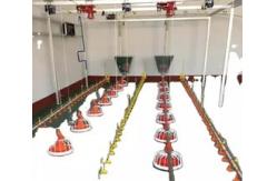 China Raising Chicken Feeding Line Steel PP Poultry Pan Feeding System supplier