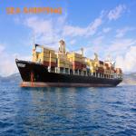 China To USA Amazon DDP Fast Vessel FBA Freight Forwarder for sale