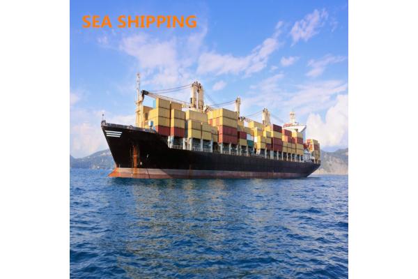 China To USA Amazon DDP Fast Vessel FBA Freight Forwarder