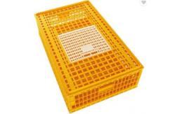 China HDPE Plastic Chicken Transport Cages supplier