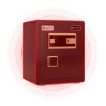 Fingerprint Lock Smart Home Safe Box Dual Alarm 26kg(Black)