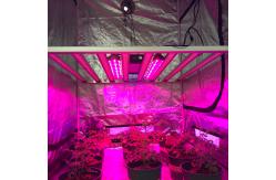 China RedFarm 730nm 30W UVA Grow Light LED Bar UV Supplemental Grow Bar supplier