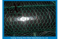China Hexagonal Wire Mesh 16 Gauge Galvanized Wire Mesh / Chicken Mesh Wire Fencing supplier