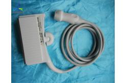 China Acuson 4V1c Ultrasound Scanner Probe Phased Array Sonography Machines supplier