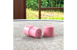 China 5g 8g 15g Empty Balm Stick Twist Up Round Makeup Lip Balm Container supplier