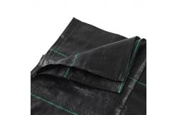 China Erosion Control PP Woven Geotextile Road Construction Fabric Alkali Resistant supplier