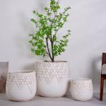 Small Eco-Friendly Flower Pot Home Decor Drainage for Indoor/Outdoor Planting Desktop/Garden Design Pack Boxes for Everyday Use for sale