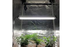 China RedFarm 45w 2.5ft LED Grow Strip Light Samsung T5 T8 Replacement supplier
