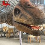 Indoor Realistic Dinosaur Head Wall Mount Decorative Size Customized for sale