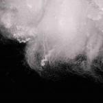 Best Quality Spinning Grade 1.5D*38mm Polyester Staple Fiber