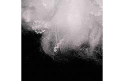 China Best Quality Spinning Grade 1.5D*38mm Polyester Staple Fiber supplier