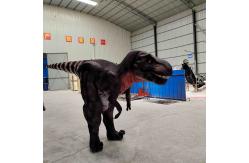 China Customized Real Life T Rex Costume , Indoor Tyrannosaurus Suit supplier