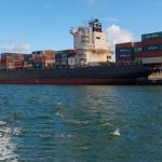 Express Worldwide DHL FEDEX UPS International Shipping From China To United States