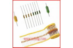 China Subminiature Axial Leaded Glass Fuses Pico Slow Blow For Adapter supplier