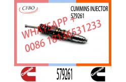 China Diesel Injector 570016 4954646 4076963 4903028 1481827 1521978 1764365 579261 supplier