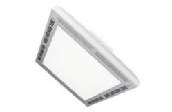 China Ceiling Version Panel Sterilization Light supplier