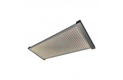 China PWM Quantum Led Grow Light supplier