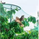 7GSM Bird Proof Net Green Bird Proof Netting For Fruit Trees for sale