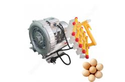 China Rubber Egg Vacuum Lifter Sucker Machine To Transfer Eggs Single / Double Handle supplier