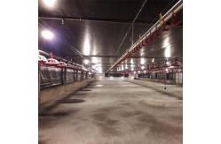 China 120L Pan Feeding System For Broiler Chicken Pan Feeder Yellow Red supplier