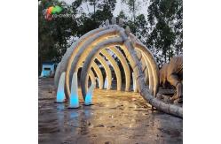 China ISO Animatronic Dinosaur Skeleton Passageway supplier