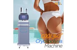 China Weight Loss Coolsculpting Cryolipolysis Machine , Cryotherapy Fat Freezing Machine supplier