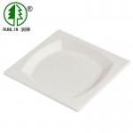 21CM Paper Biodegradable Sugarcane Bagasse Plates Environment Friendly Disposable for sale