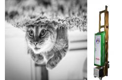China 3d 4d Vertical 7 Inch 1700mm Lcd Uv Wall Printer supplier