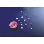 0.005mm Sapphire Optical Window Plano Convex Lens