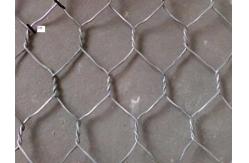 China 5/8 Hexagonal Wire Netting Positive Twist Reverse Twist Double Twist supplier