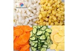 China Tengsheng Infeed Chute Fruit Processing Machine Cucumber Lime Fracturing Avoidance supplier