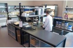 China PLGF Placental Growth Factor Elisa Test Kit supplier