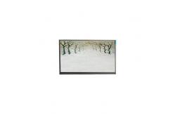 China R125NWR3 R3 12.5 inch lcd module 1366*768 lcd display screen supplier