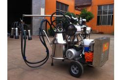 China Portable Food Grade SS Mobile Milking Machine With Gasoline Engine supplier