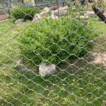 China SUS 304 316 Knitted / Buckle Ferrule Stainless Steel Wire Rope Mesh For Aviary Protect manufacturer