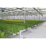 NFT Hydroponic Channel Indoor Hydroponic Grow System For Leafy Vegetables for sale