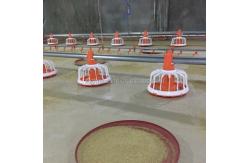 China Ss304 Poultry Automatic Drinkers Automatic Chicken Watering System supplier