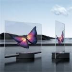 Desktop Type Transparent OLED Screen Display Multifunctional OEM for sale
