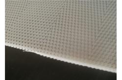 China Acid Resistant Monofilament Polyester Mesh For Belt Press Dewatering supplier