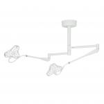Minor Surgical Exam Lamp Veterinary Operating Room Examination Led Light