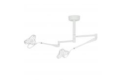 China Minor Surgical Exam Lamp Veterinary Operating Room Examination Led Light supplier